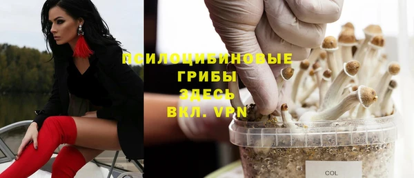 spice Волоколамск