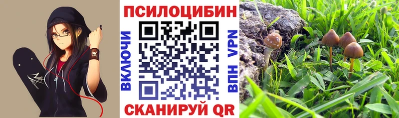 Галлюциногенные грибы Magic Shrooms  Керчь 